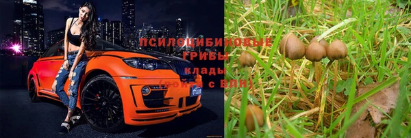 каннабис Алексин